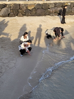 애큐온 후원 제주도 여행